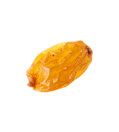 Kuru Üzüm